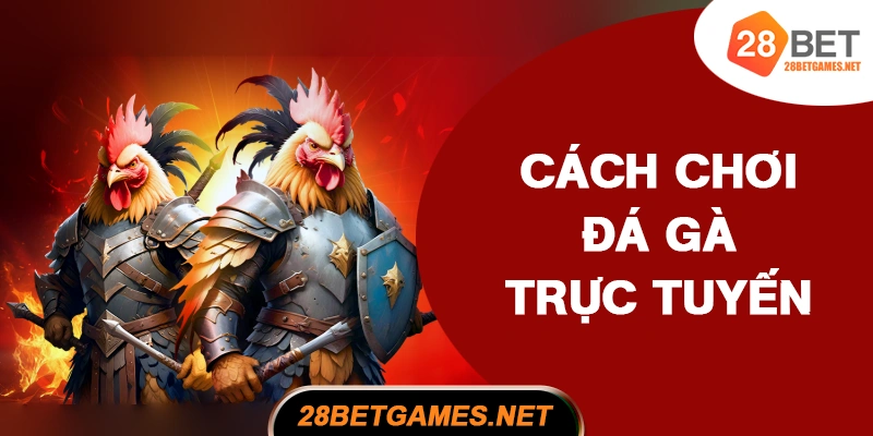 Cách chơi đá gà trực tuyến nâng cao tỷ lệ thắng