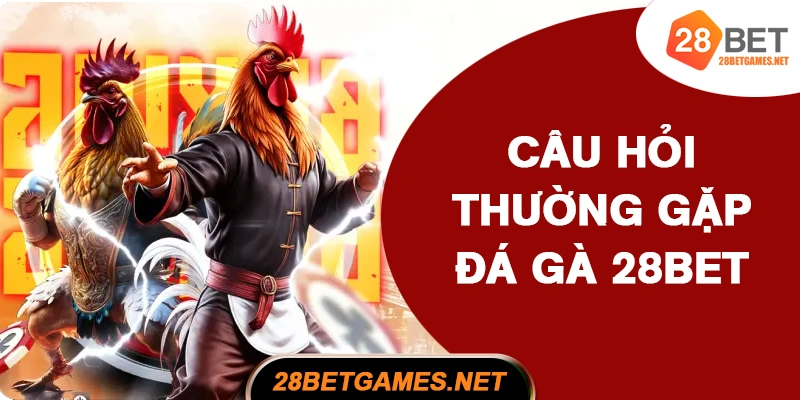 Câu hỏi thường gặp khi chơi đá gà 28BET